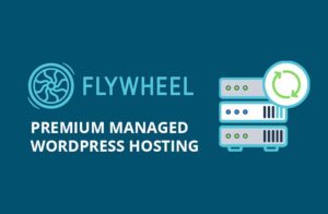 Read more about the article Flywheel WordPress Hosting